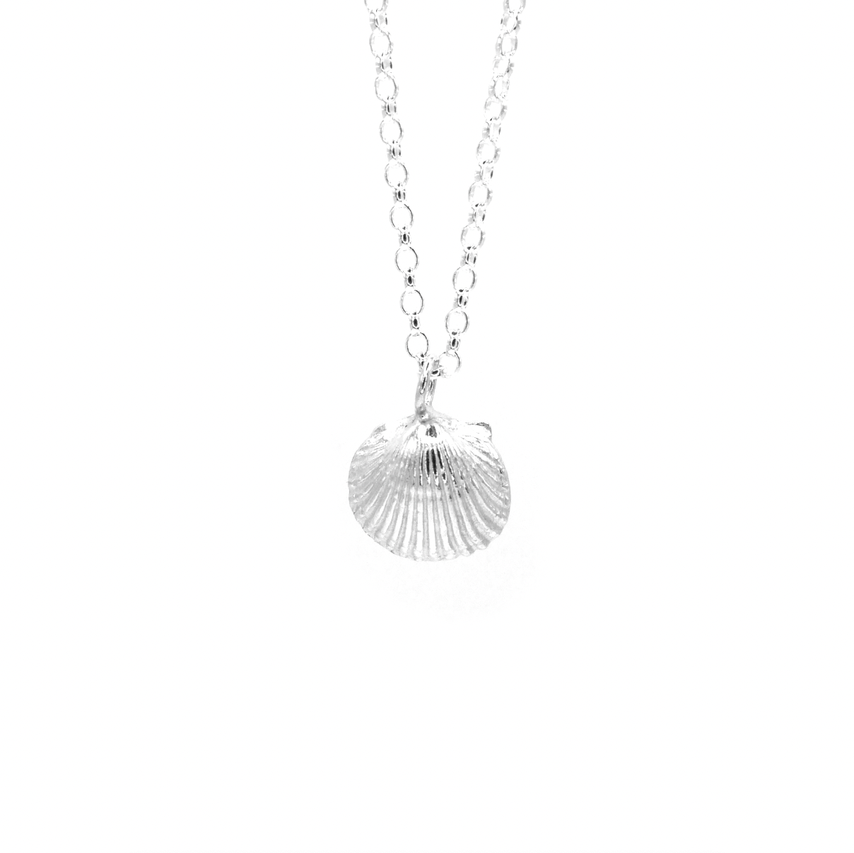 Druridge Bay Shell Necklace - saltandco