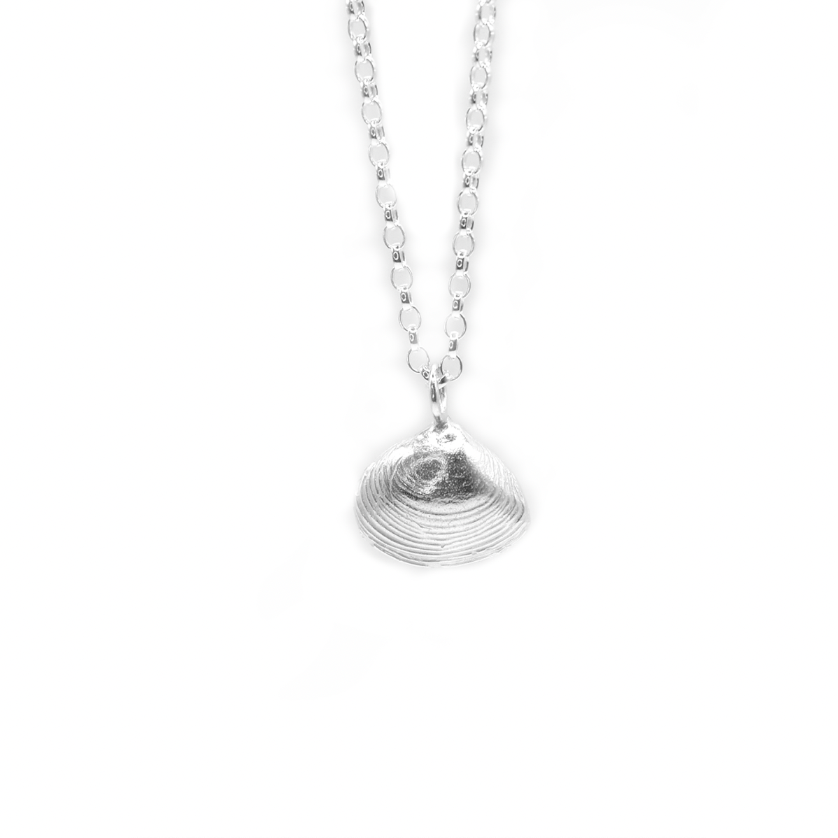 Tynemouth Shell Necklace