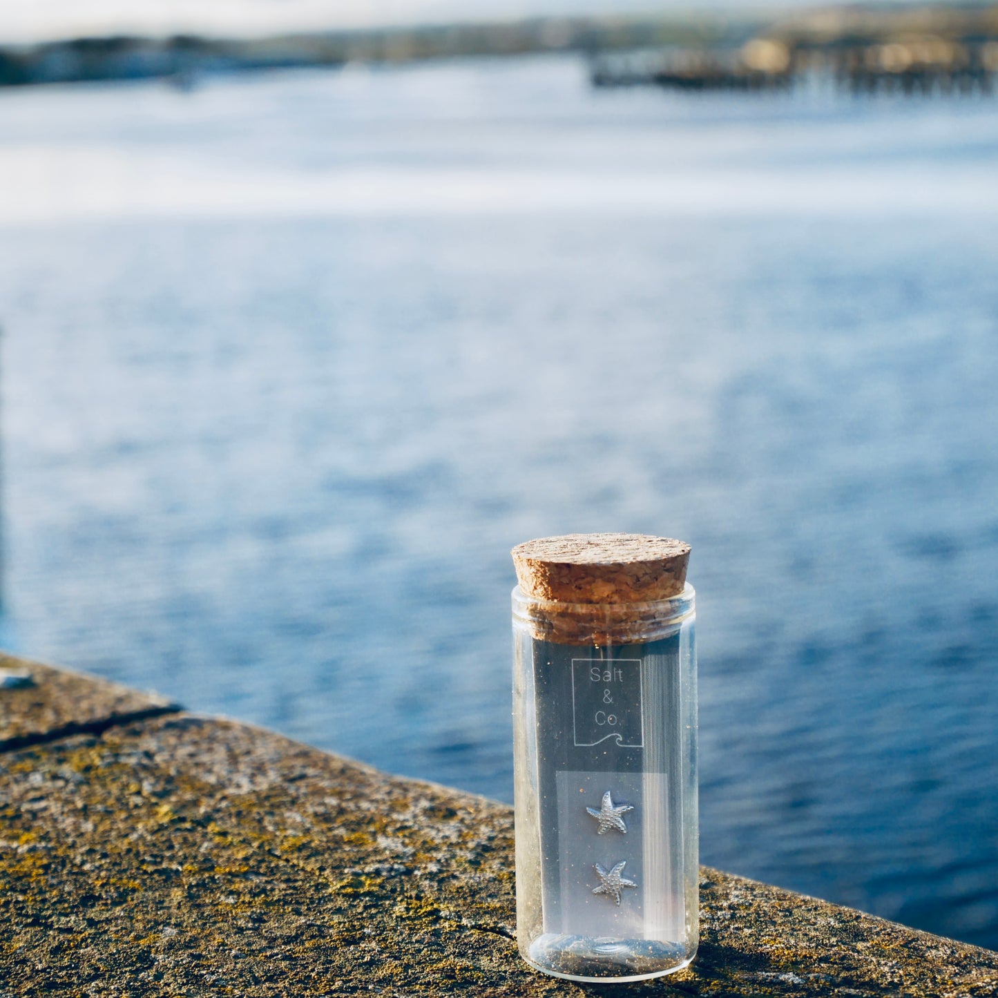 Starfish Studs - saltandco