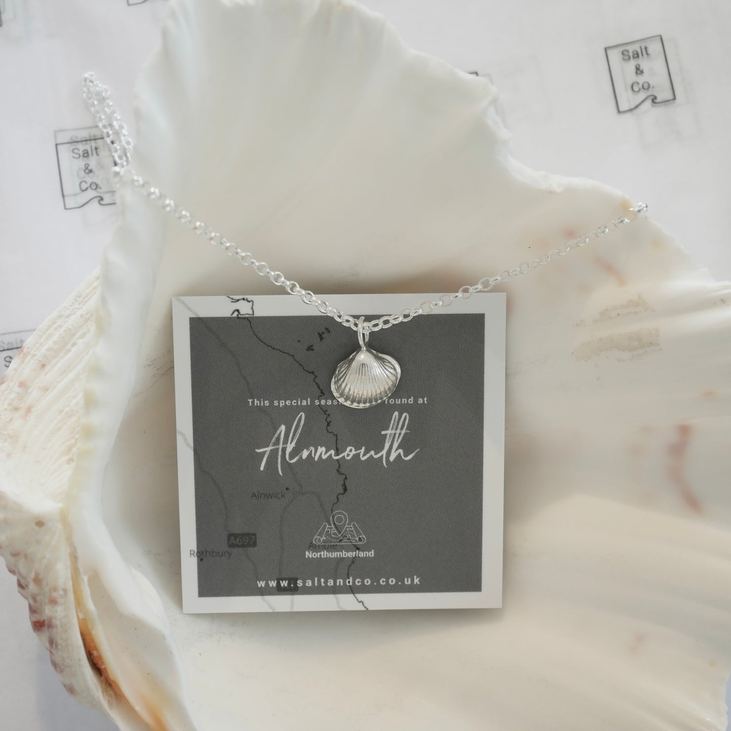 Alnmouth Mini Shell Necklace - saltandco