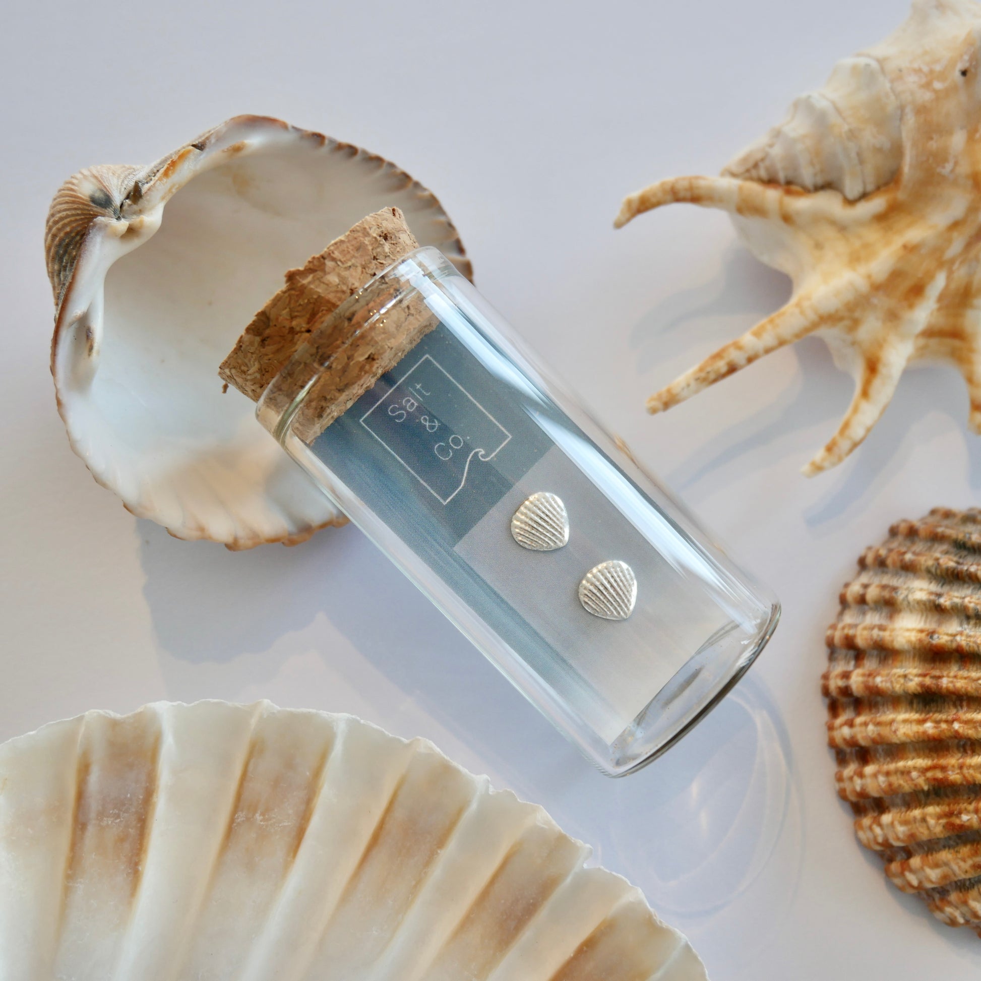 Shell Fragment Studs - saltandco