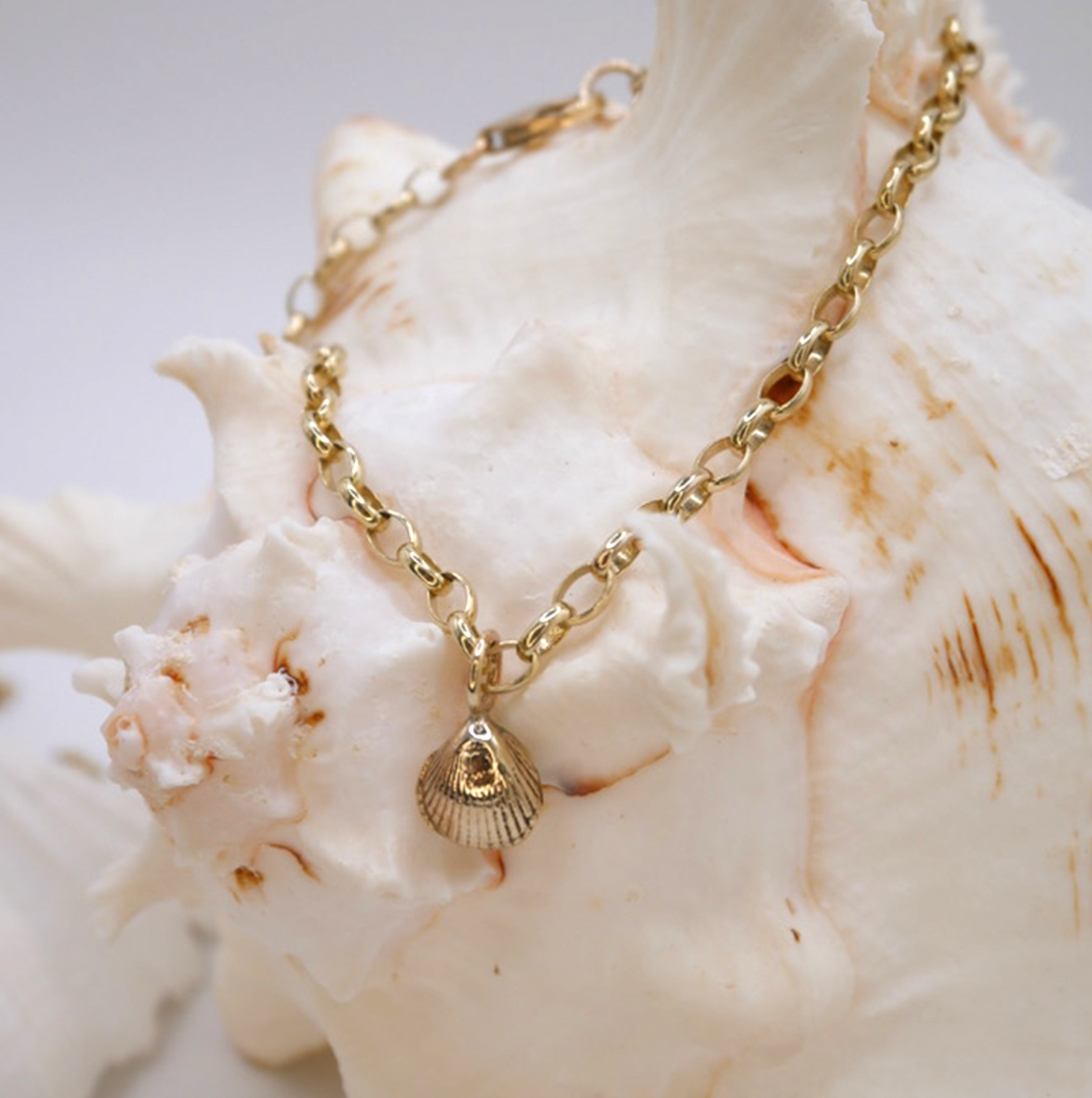 Amble Mini Shell Bracelet, Gold