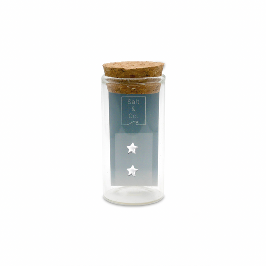Mini Star Studs - saltandco