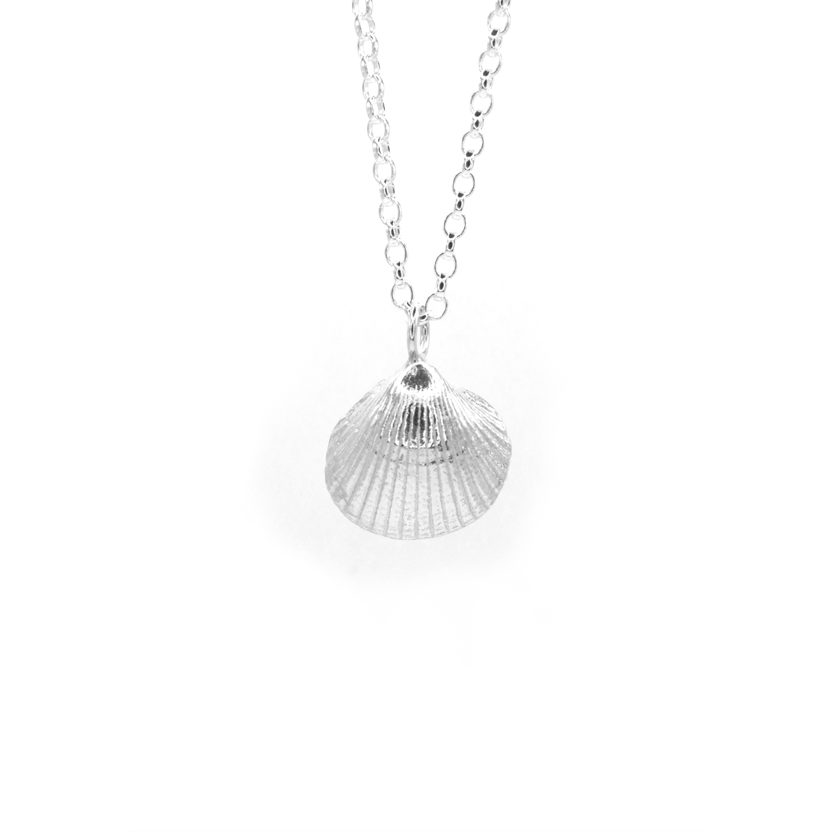 Low Newton Shell Necklace - saltandco