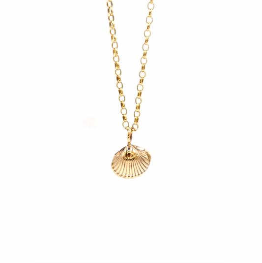 Alnmouth Mini Shell Necklace, 9ct Gold