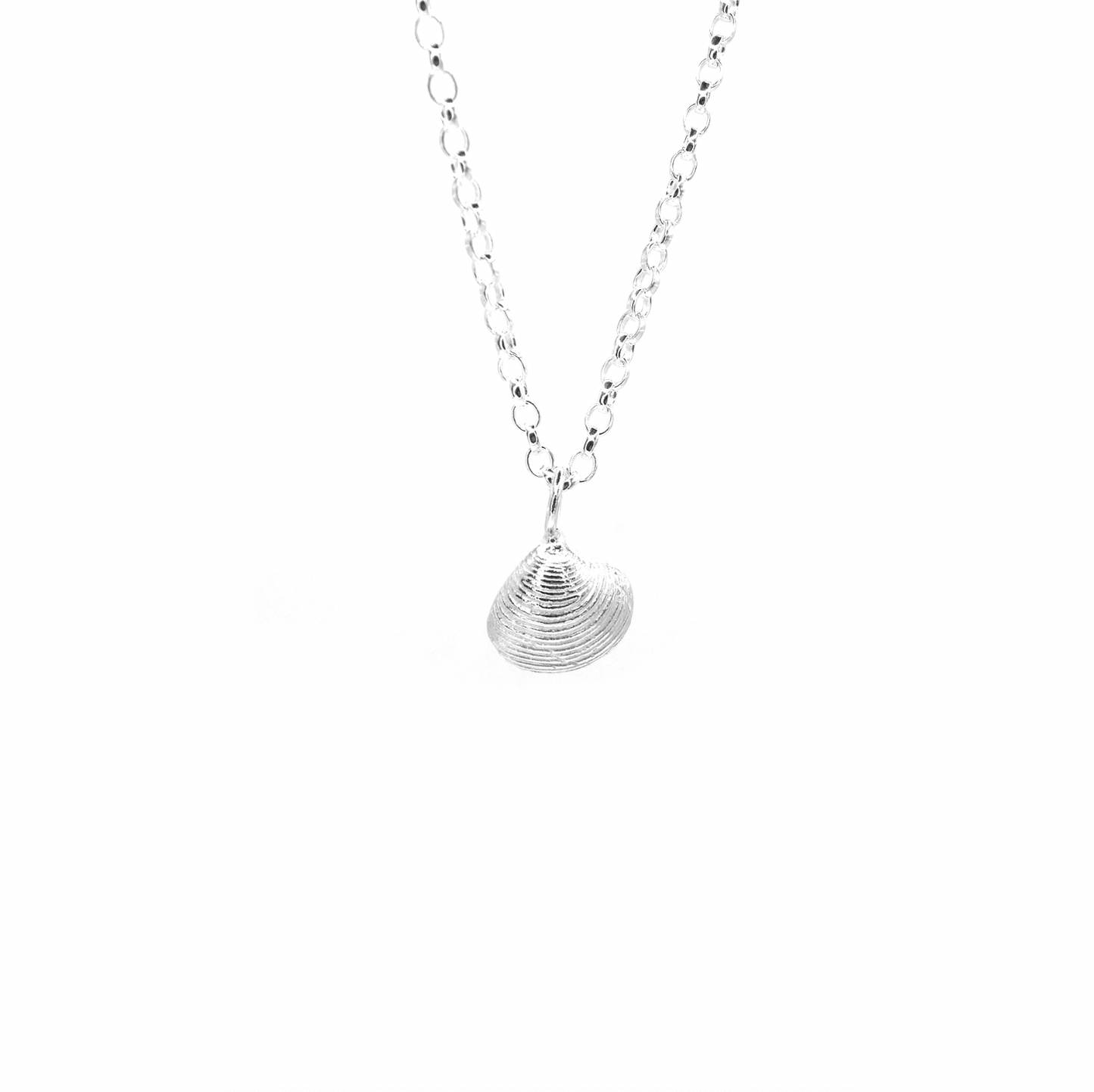 Boulmer Mini Shell Necklace - saltandco