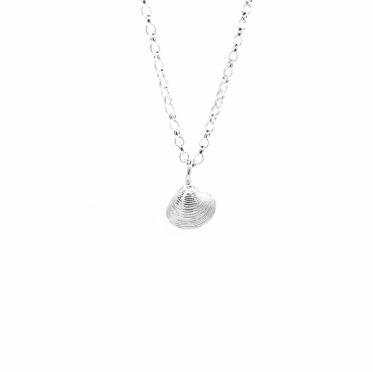 Boulmer Mini Shell Necklace - saltandco
