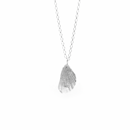 Beadnell Shell Fragment Necklace