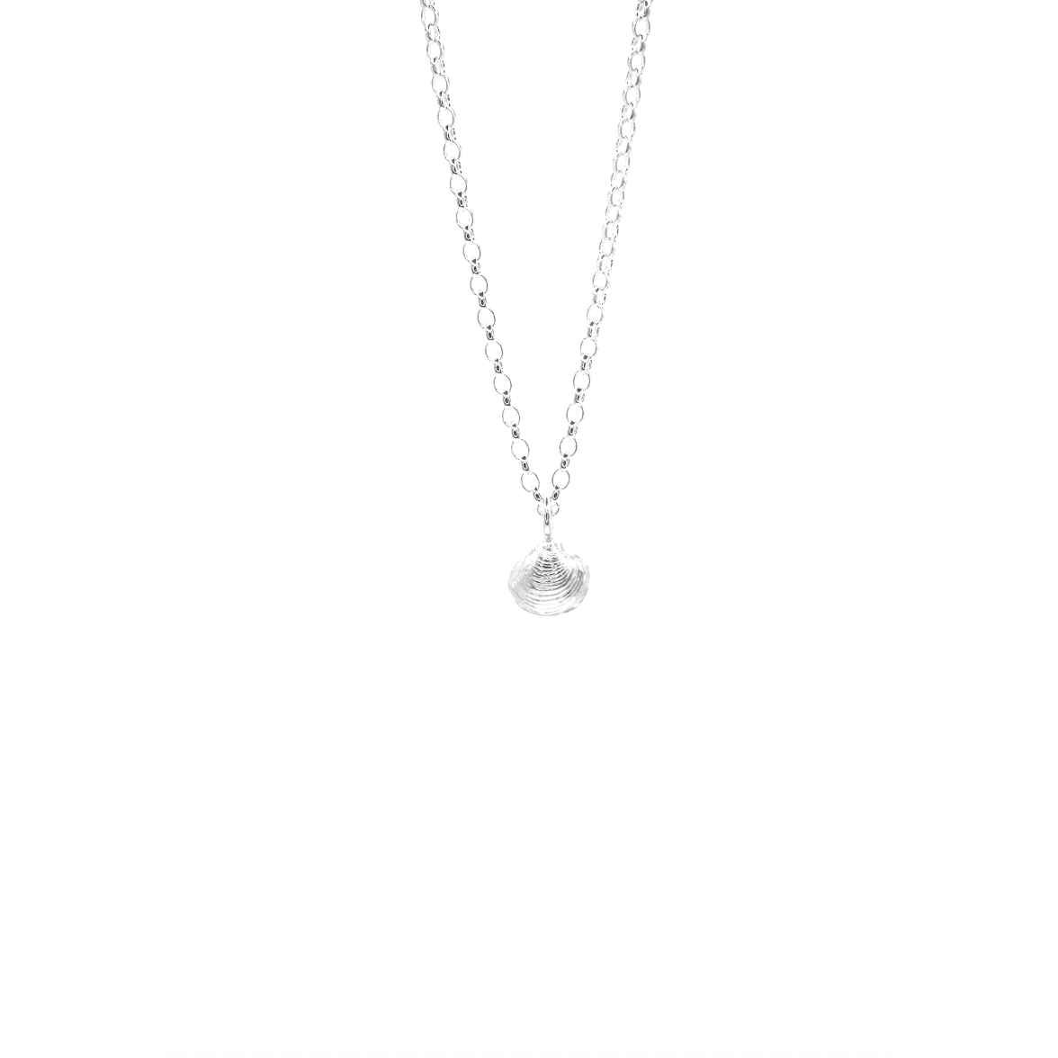 Seahouses Dinky Shell Necklace