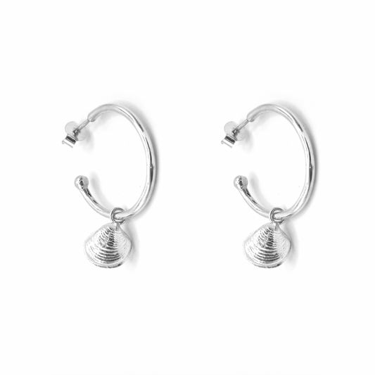 Seahouses Dinky Shell Hoops
