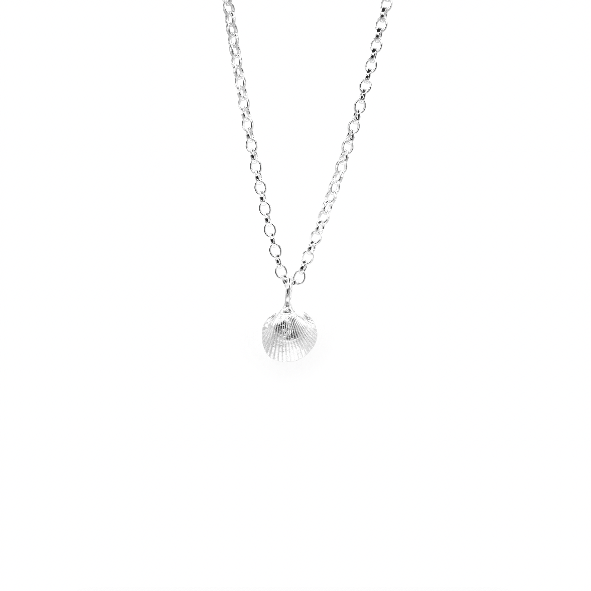 Holy Island Mini Shell Necklace