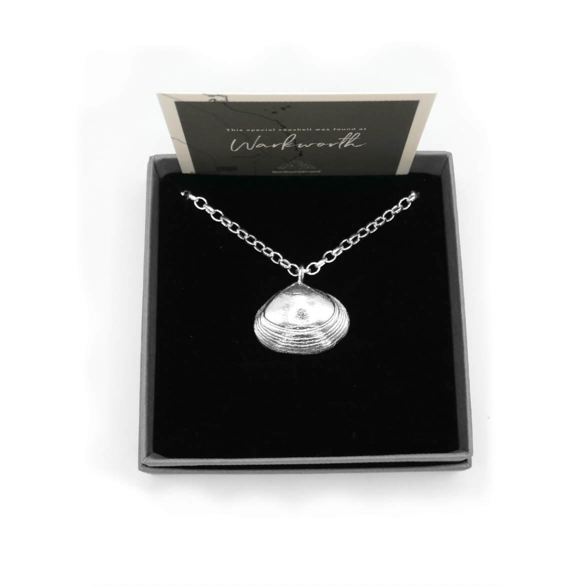 Warkworth Maxi Shell Necklace