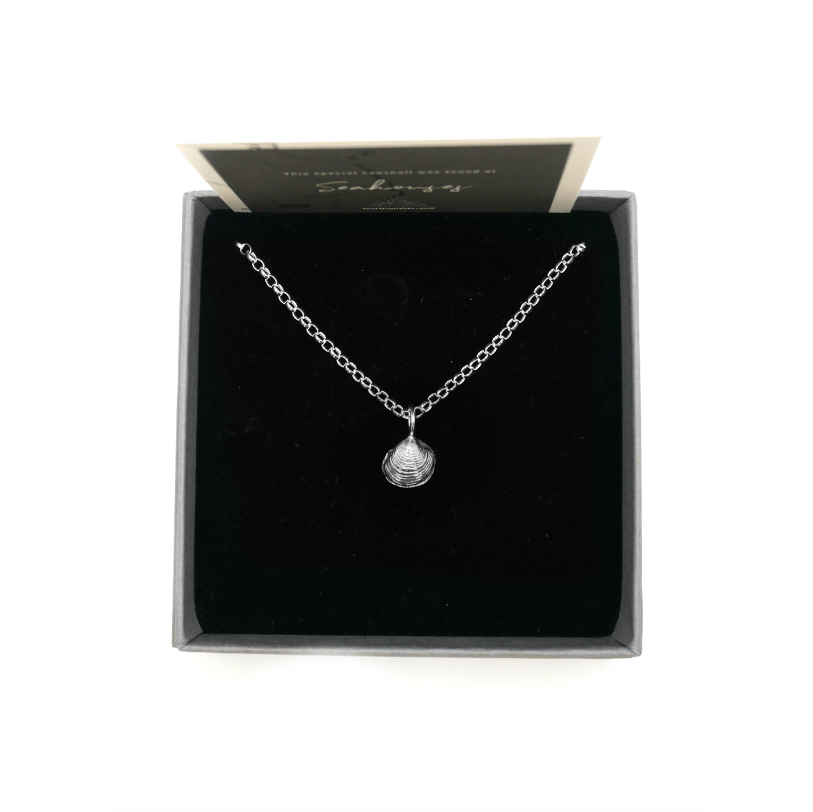 Seahouses Dinky Shell Necklace