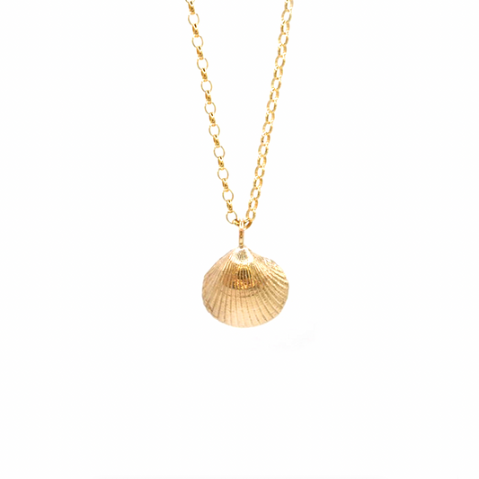 Low Newton Shell Necklace