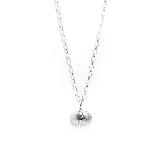 Alnmouth Mini Shell Necklace - saltandco