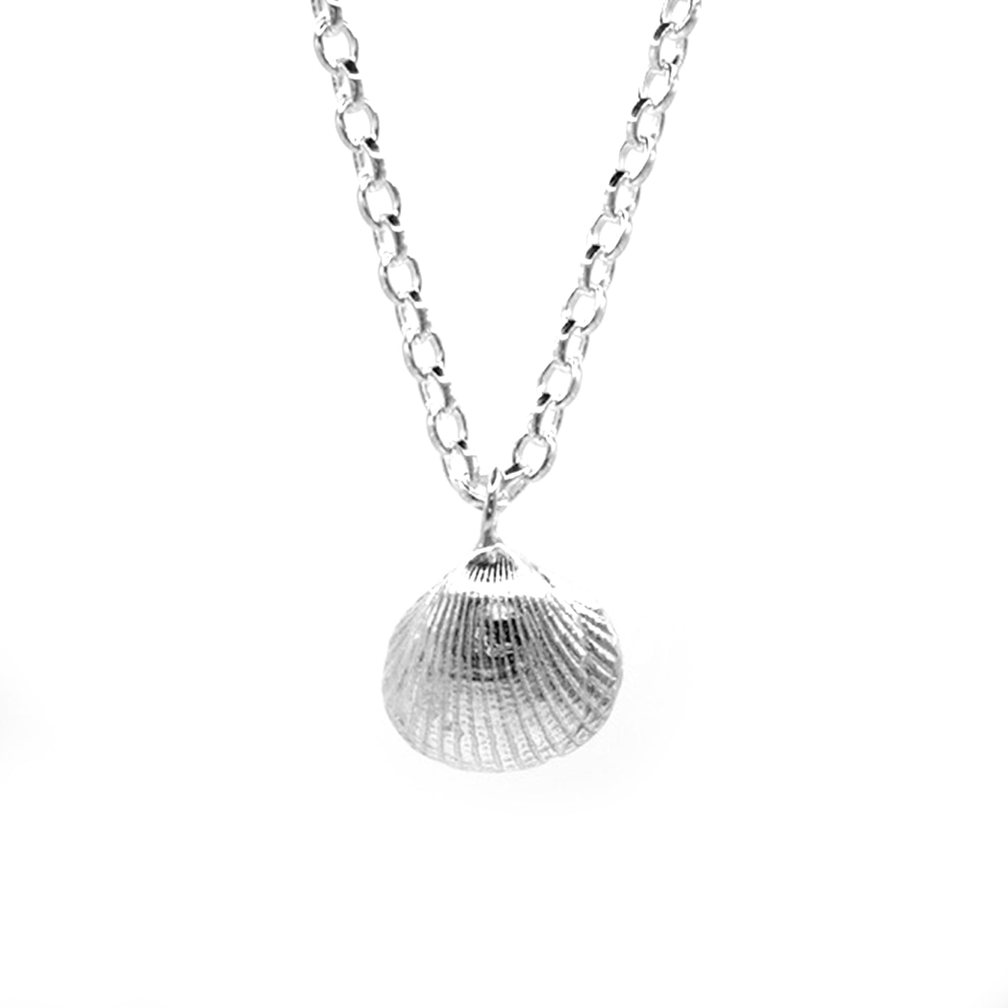 Bamburgh Maxi Shell Necklace - saltandco