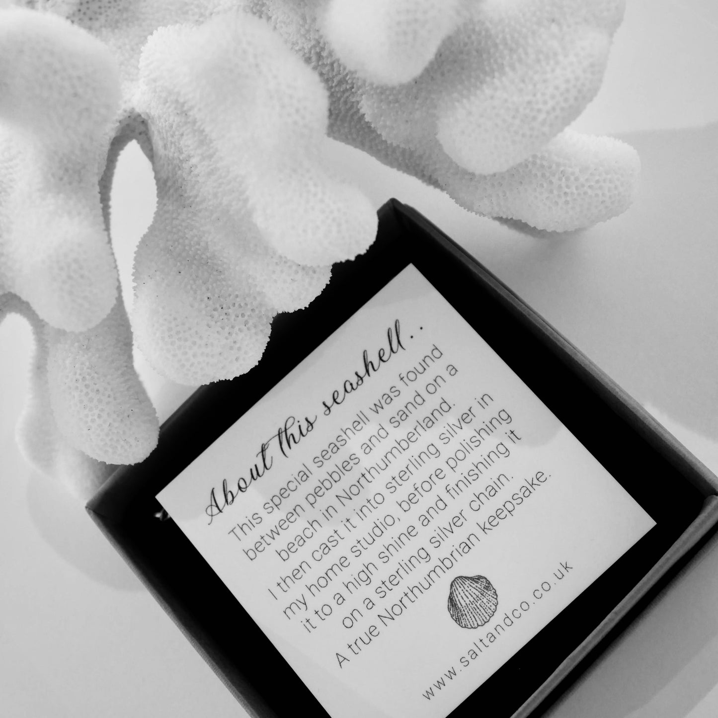 Alnmouth Midi Shell Necklace - saltandco