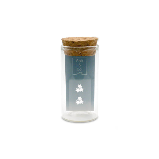 Cluster Star Studs - saltandco