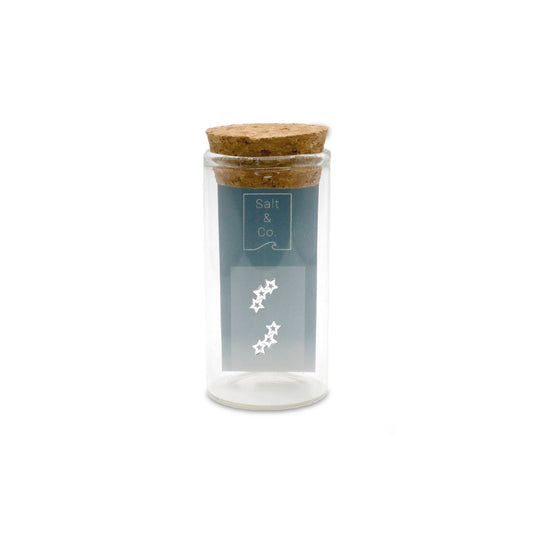 Shooting Star Studs - saltandco