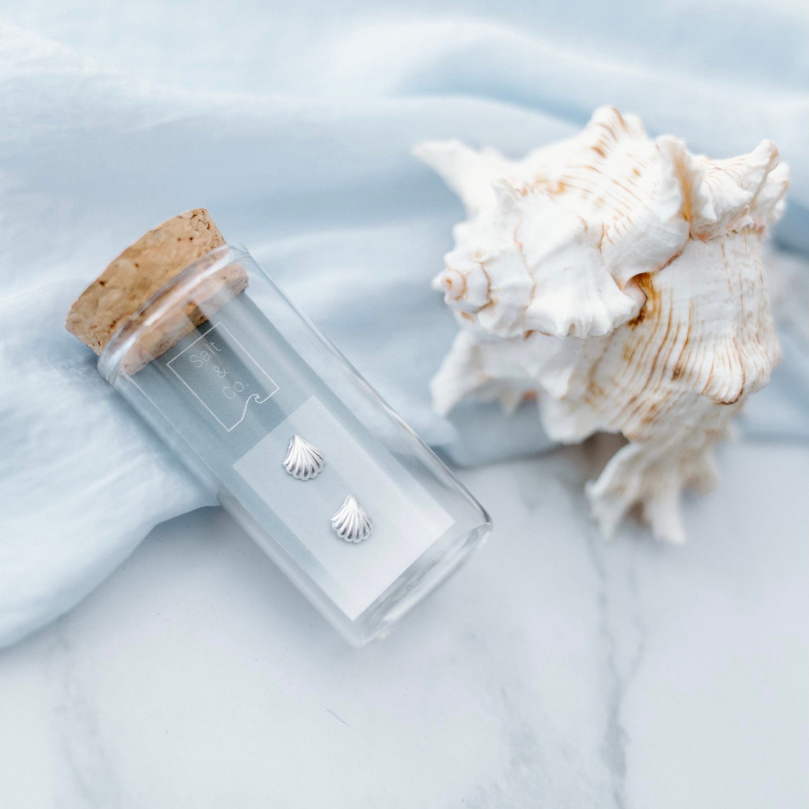 Seashell Studs - saltandco