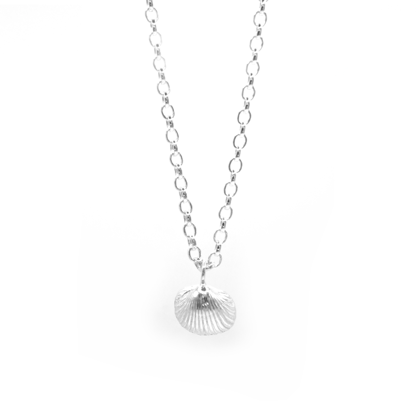 Alnmouth Midi Shell Necklace - saltandco