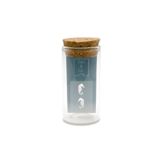 Seahorse Studs - saltandco